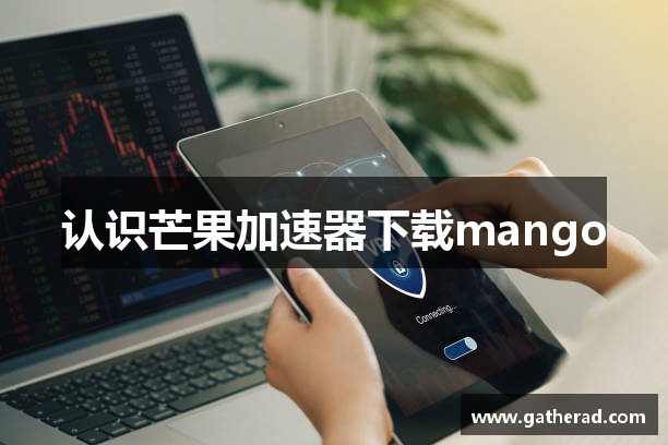 认识芒果加速器下载mango