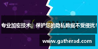 专业加密技术，保护您的隐私数据不受侵扰！